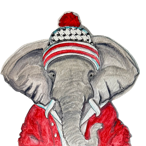 Roll Tidings Greeting Cards